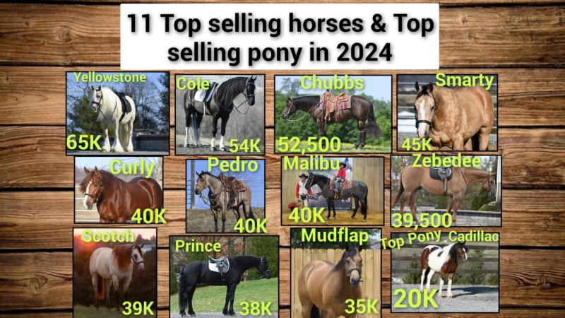 2024 High Sellers